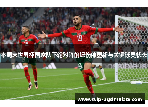 本周末世界杯国家队下轮对阵前瞻伤停更新与关键球员状态